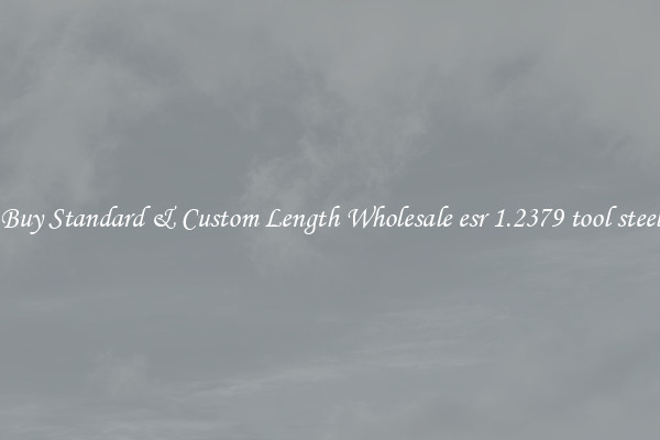 Buy Standard & Custom Length Wholesale esr 1.2379 tool steel