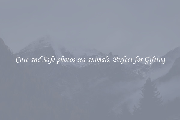 Cute and Safe photos sea animals, Perfect for Gifting