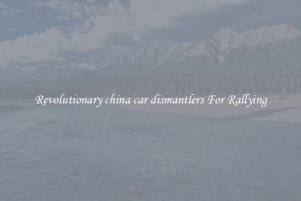 Revolutionary china car dismantlers For Rallying