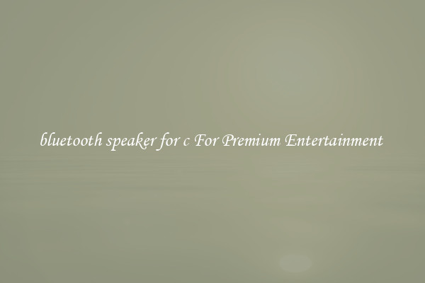 bluetooth speaker for c For Premium Entertainment 