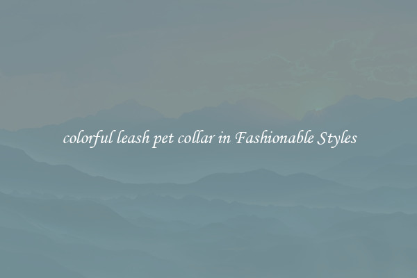 colorful leash pet collar in Fashionable Styles