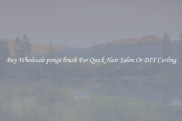 Buy Wholesale ponge brush For Quick Hair Salon Or DIY Curling