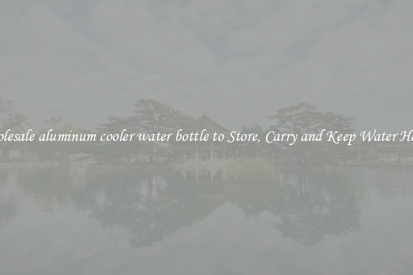 Wholesale aluminum cooler water bottle to Store, Carry and Keep Water Handy