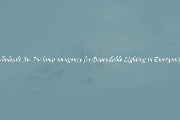 Wholesale 5w 7w lamp emergency for Dependable Lighting in Emergencies