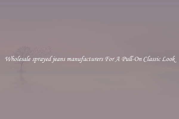 Wholesale sprayed jeans manufacturers For A Pull-On Classic Look