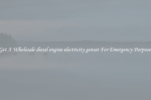Get A Wholesale diesel engine electricity genset For Emergency Purposes