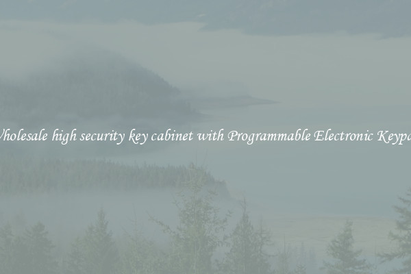 Wholesale high security key cabinet with Programmable Electronic Keypad 