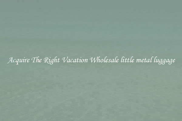 Acquire The Right Vacation Wholesale little metal luggage