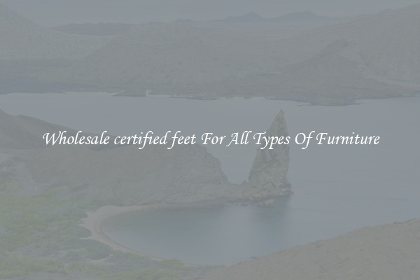 Wholesale certified feet For All Types Of Furniture