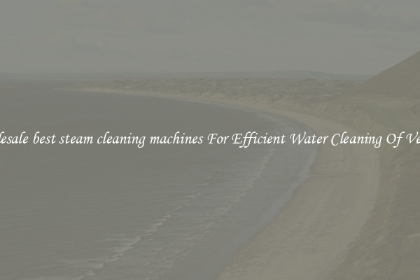 Wholesale best steam cleaning machines For Efficient Water Cleaning Of Vehicles