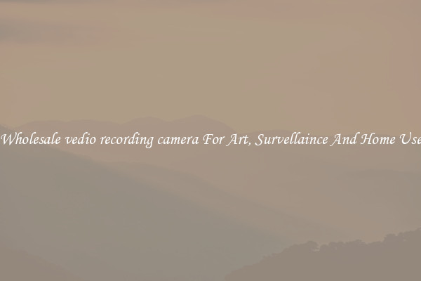 Wholesale vedio recording camera For Art, Survellaince And Home Use