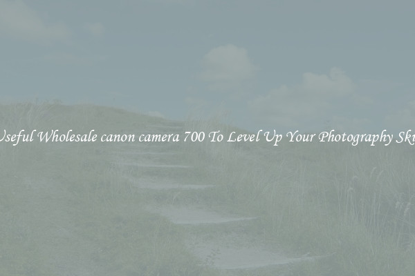 Useful Wholesale canon camera 700 To Level Up Your Photography Skill