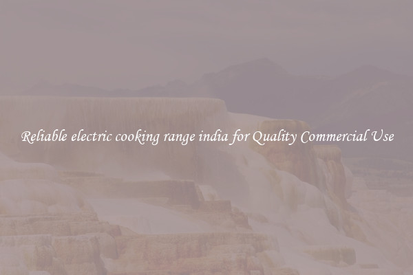 Reliable electric cooking range india for Quality Commercial Use