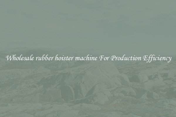 Wholesale rubber hoister machine For Production Efficiency