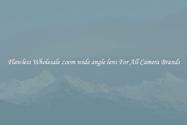 Flawless Wholesale zoom wide angle lens For All Camera Brands