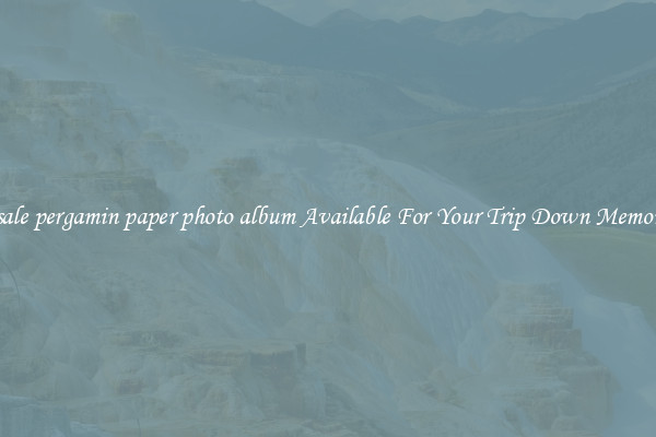 Wholesale pergamin paper photo album Available For Your Trip Down Memory Lane